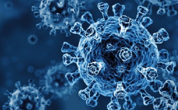 Image of a COVID virus