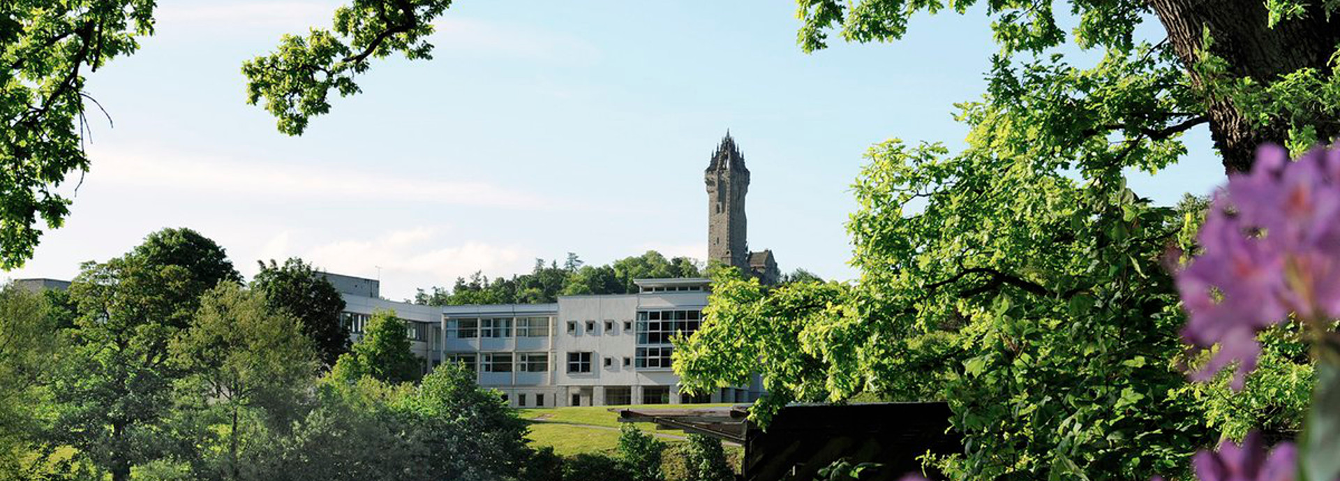 An image of the university campus
