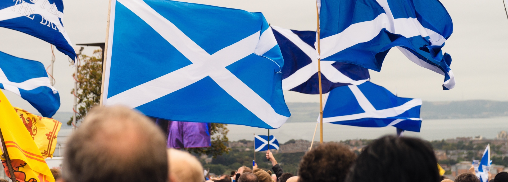 People with Scotland flags