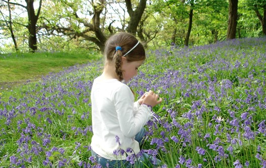 A child in a meadow of flowers