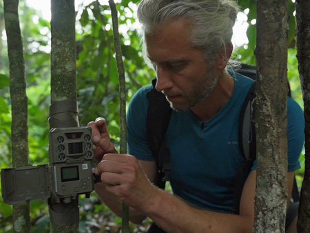 Tim in a forest attaching a camera to a tree