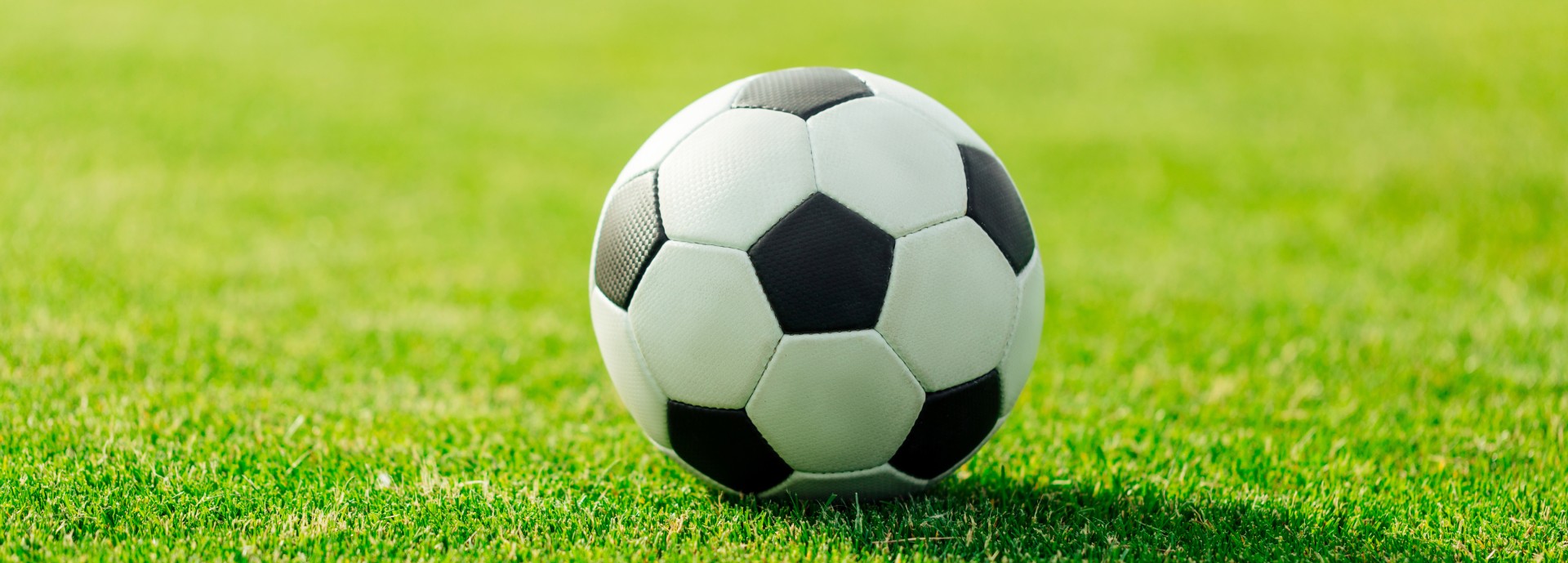 Close-up view of leather soccer ball on green grass