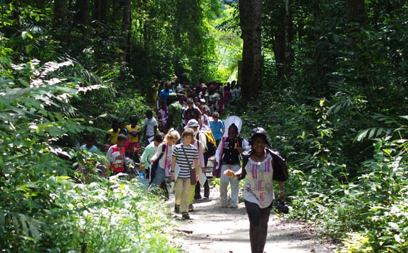 Group walking in Gabon forest
